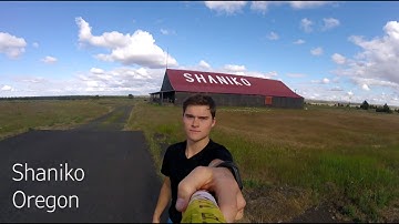 Bugs on the windshield - Official Video