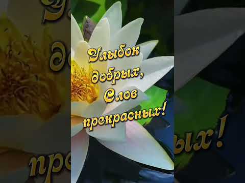 Доброе утро! Красивоепожелание#музыкальная#поздравления#доброеутро#красиваямузыка#shorts