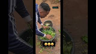 Nature healed before science explained it.🌿 herbs don't lie. #foryou #fyp #shorts #funny #viralvideo