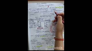 Important topic: JAUNDICE 🚨Easy explanation with handwritten notes for nursing exams 📚✍️