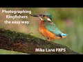 Photographing Kingfishers the easy way