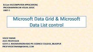 MS DATA GRID & DATA LIST CONTROL screenshot 2