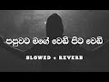Papuwata Mage Wedi Pita Wedi Slowed And Reverb а ґа ґа а Ђа а ёа ња љ Papuwata Mage Slowed And Reverb Papuwata Mage Wedi Pita Wedi Slowed And Reverb а ґа ґа а Ђа а ёа ња љ Papuwata Mage Slowed And Reverb
