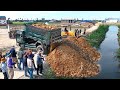 INCREDIBLE First the Work! Landfilling flooded & Cleaning