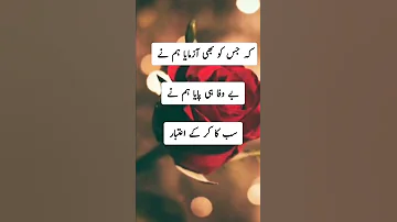 Best Urdu Poetry WhatsApp Status || Urdu Shayari Status | Heart Touching Poetry