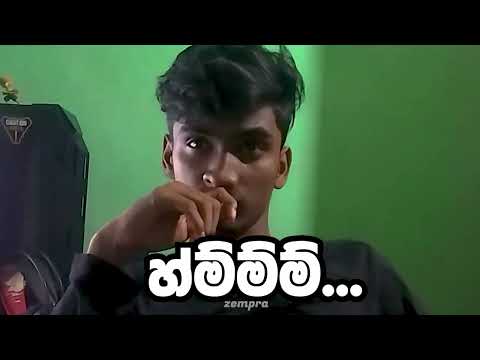 නිවැරදිව ගෝතයෙක් වෙන ආකාරය 😂