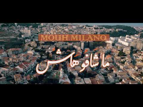 ماشافوهاش هادي ماشافوهاش