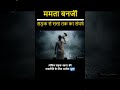 ममता बनर्जी सड़क से सत्ता तक का संघर्ष  #hindidocumentary #history #mamatabanerjee #modi