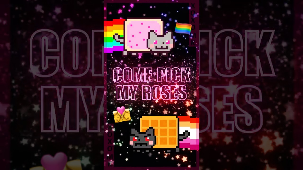 Come Pick my Roses 😻🌹🌈 