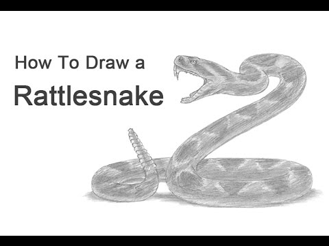 desert rattlesnake drawing