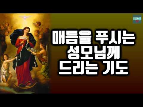 영상썸네일