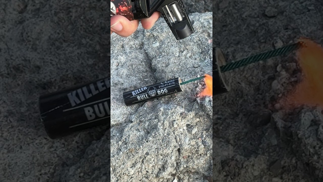 Triplex Killer Bulldog XP1030