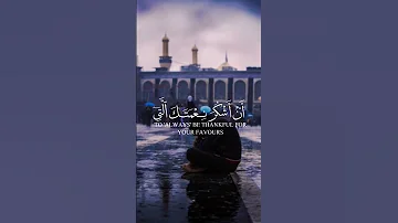قال ربي اوزعني ان اشكر نعمتك ما تيسر من سورة النمل للقارئ بلال الدربالي 