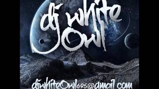 Nina Sky - Freestyle (DJ WhiteOwl)