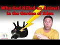 Genesis to Revelation: God's Redemptive Plan for Mankind