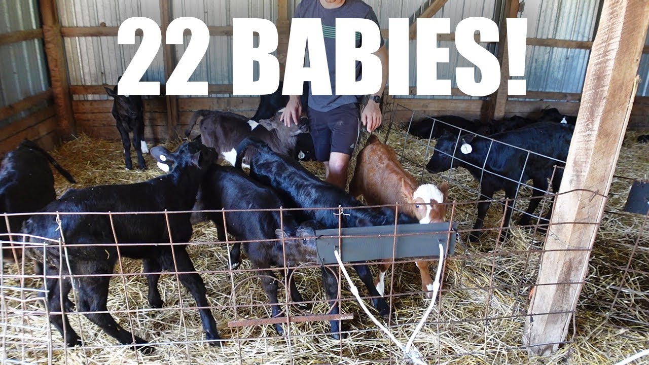 THE BARN IS FULL!