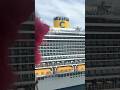 Celebrity! #animal #plushie #funny #travel #travelvlog #trending #shorts #celebrity #comedy #cruise
