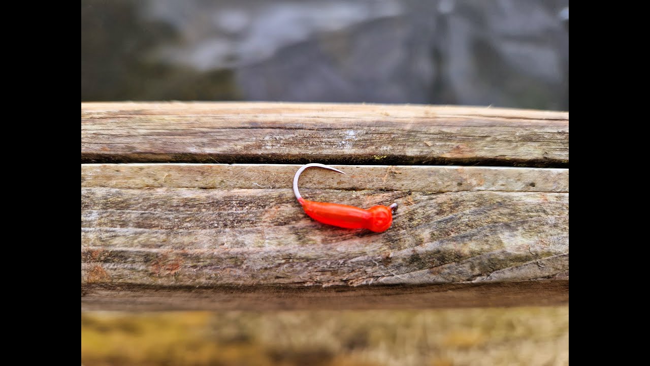 Красный опарыш | изготовление и рыбалка