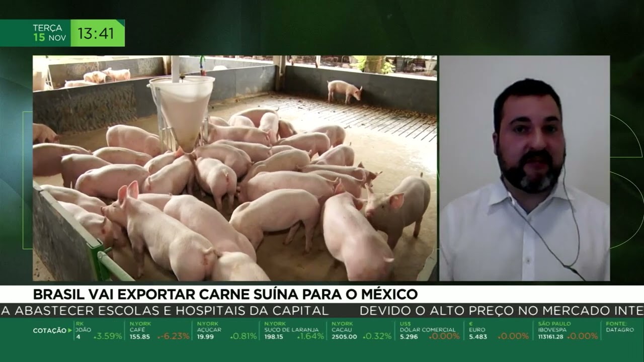Brasil vai exportar carne suína para o México
