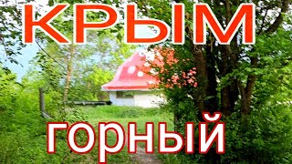 🏕Прогулка в горах. Набрели на глэмпинг. Посмотрели базу отдыха. Дом 1900г.