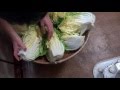 #おばーちゃんの白菜漬けPickled in Chinese cabbage배추 절임