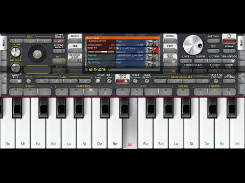 سيت دحية دحية فلسطينية اقوى سيت هجيني ودحيه Org2024