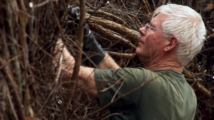 Sculptor Patrick Dougherty, NATURE episode