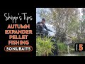 SHIPP'S TIPS - Episode 5 - Autumn Expander Pellet Fishing!