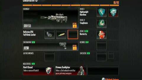 Black Ops 2: the best Sniper Class Setup Video