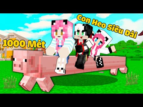 MỀU THỬ THÁCH 24H NUÔI BÉ HEO SIÊU TO KHỔNG LỒ TRONG MINECRAFT*REDHOOD BẮT ĐƯỢC CON HEO DÀI 100BLOCK