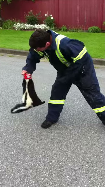 Man saves skunks life and almost gets sprayed!