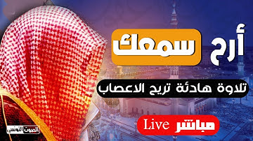 سورتى الأنفال والتوبة 💙أجمل تلاوة هادئة تريح الاعصاب💚قران كريم💚 بصوت جميل جدا القارئ سعدون حمادى