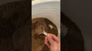 REDMOND Soil Test highdeserthomesteader growyourownfood shorts