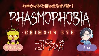 【ファズモ】ハロウィンだよ!! Phasmophobia(ファズモフォビア)【ホラゲ】