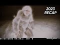 2023 recap disturbing trail cam footage compilation