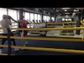 Boxing sparring session at emd fitness dubai uae