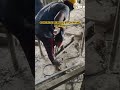 CONCERETE REMOVING TECHNIQUE BY CHIPPING MACHINE II MIVAN FORMWORK II MIVAN TECHNOLOGY