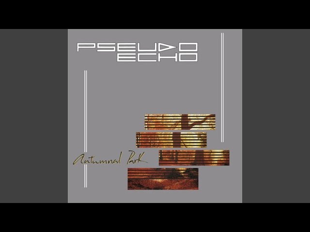 Pseudo Echo - See Through