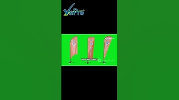 Bảo mật mạng Wi-Fi – Hiểu chuẩn, cấu hình đúng | Kiến thức CCNA cùng VnPro