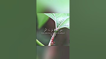 { حتى إذا أتوا على وادِ النمل قالت نملة يا أيها النمل ادخلوا مساكنكم}آية 18 النمل القارئ بلال دربالي