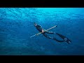 Spearfishing in a david attenborough documentary