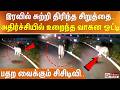 இரவில் சுற்றி திரிந்த சிறுத்தை.. அதிர்ச்சியில் உறைந்த வாகன ஓட்டி - பதற வைக்கும் சிசிடிவி..