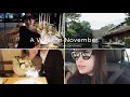 【11月VLOG】結婚記念日ディナー/誕生日旅行/SUQQU展示会/Tiffany Party/仕事、日々の服etc...