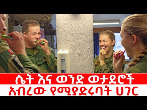 ቪዲዮ: አይስበርግስ የተለያዩ ናቸው -ግልፅ ፣ ባለቀለም እና እንዲያውም “እብነ በረድ”