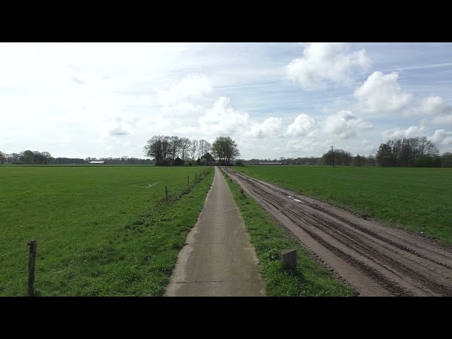 Veel weidevogels broeden nu in Veldhoek Geesteren