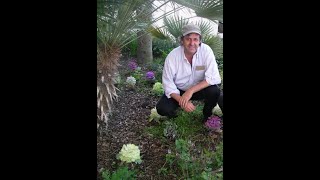 VIGOR GRO organic fertilizer. It grows your crops better