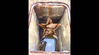 JL Pest Control - Brighton - Crawley - Sussex
