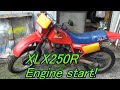 XLX250R　Engine start