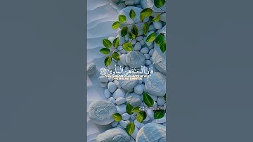 مش هتاخد 20 ثانيه من وقتك تلاوة ولا أروع لفضيلة إمام الحرم المكى