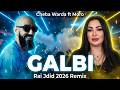 Cheba Warda Ft Moro Galbi قلبي Rai Jdid 2026 Remix